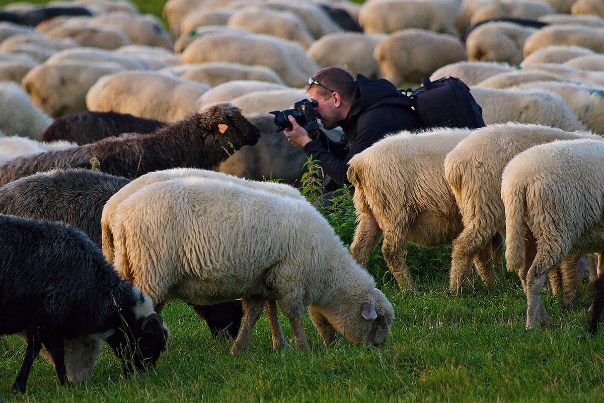 kurs fotografii dla amatorów